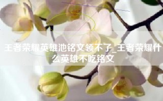 王者荣耀英雄池铭文领不了_王者荣耀什么英雄不吃铭文