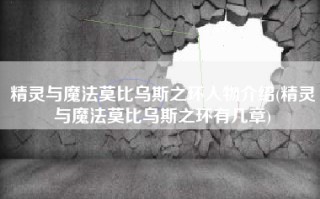 精灵与魔法莫比乌斯之环人物介绍(精灵与魔法莫比乌斯之环有几章)