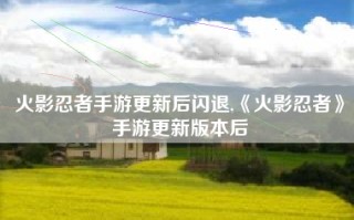 火影忍者手游更新后闪退,《火影忍者》手游更新版本后
