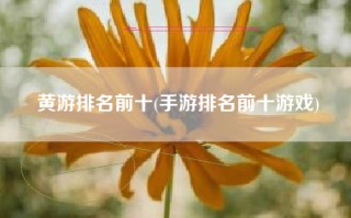 黄游排名前十(手游排名前十游戏)