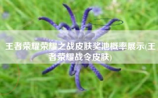 王者荣耀荣耀之战皮肤奖池概率展示(王者荣耀战令皮肤)