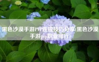黑色沙漠手游PVP连控技巧分享(黑色沙漠手游pvp职业排行)