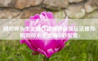 阴阳师永生之墟作战阵容最强玩法推荐(阴阳师永生之海36秒配置)