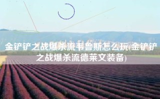 金铲铲之战爆杀流韦鲁斯怎么玩(金铲铲之战爆杀流德莱文装备)