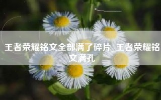 王者荣耀铭文全部满了碎片_王者荣耀铭文满孔