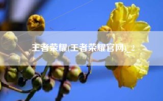 王者荣耀(王者荣耀官网)_2