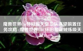 魔兽世界tbc怀旧服天空卫队声望前置任务攻略 (魔兽世界TBC怀旧服盗贼练级天赋)