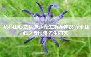 花亦山心之月逍遥先生培养建议(花亦山心之月逍遥先生四艺)