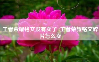 王者荣耀铭文没有卖了_王者荣耀铭文碎片怎么卖