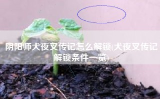阴阳师犬夜叉传记怎么解锁(犬夜叉传记解锁条件一览)