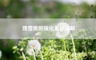瑰雪黑阳强化系统详解