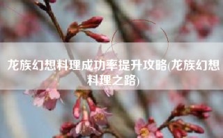 龙族幻想料理成功率提升攻略(龙族幻想料理之路)