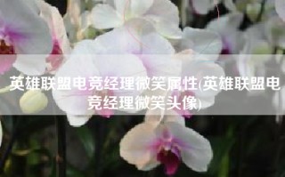 英雄联盟电竞经理微笑属性(英雄联盟电竞经理微笑头像)