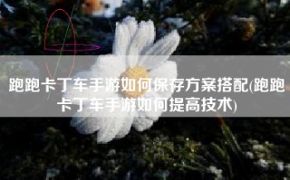 跑跑卡丁车手游如何保存方案搭配(跑跑卡丁车手游如何提高技术)