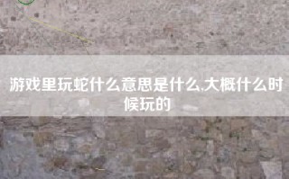 游戏里玩蛇什么意思是什么,大概什么时候玩的