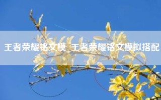 王者荣耀铭文模_王者荣耀铭文模拟搭配