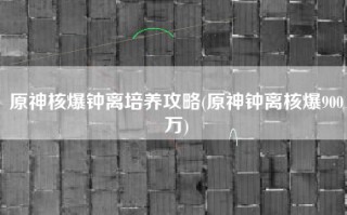 原神核爆钟离培养攻略(原神钟离核爆900万)