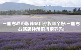 三国志战略版孙策和孙权哪个好(三国志战略版孙策值得培养吗)