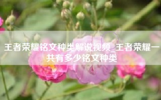 王者荣耀铭文种类解说视频_王者荣耀一共有多少铭文种类