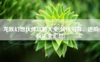 龙族幻想伙伴攻略大全(伙伴招募、进阶玩法全汇总)