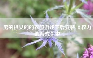 男的扒女的的衣服游戏下载安装,《权力的游戏》中