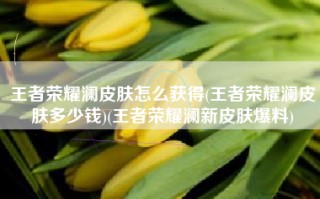 王者荣耀澜皮肤怎么获得(王者荣耀澜皮肤多少钱)(王者荣耀澜新皮肤爆料)