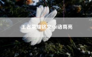 王者荣耀铭文S28诸葛亮