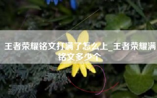 王者荣耀铭文打满了怎么上_王者荣耀满铭文多少个