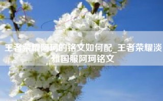 王者荣耀阿珂的铭文如何配_王者荣耀淡雅国服阿珂铭文