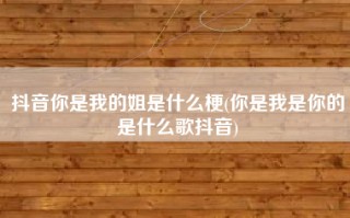 抖音你是我的姐是什么梗(你是我是你的是什么歌抖音)