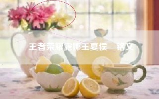 王者荣耀露娜王夏侯惇铭文