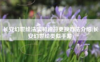 长安幻世绘法宝和神符更换方法介绍(长安幻世绘类似手游)