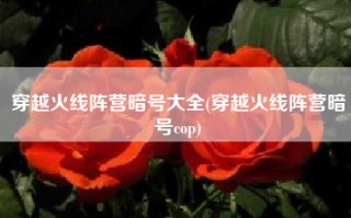 穿越火线阵营暗号大全(穿越火线阵营暗号cop)