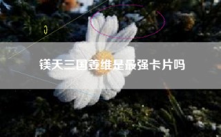 镁天三国姜维是最强卡片吗