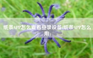 纸条APP怎么查看登录设备(纸条APP怎么用)