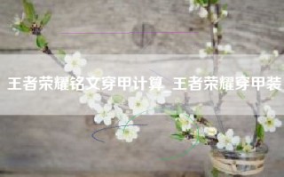 王者荣耀铭文穿甲计算_王者荣耀穿甲装