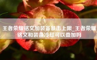 王者荣耀铭文加装备暴击上限_王者荣耀铭文和装备冷却可以叠加吗
