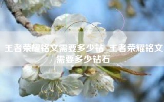 王者荣耀铭文需要多少钻_王者荣耀铭文需要多少钻石