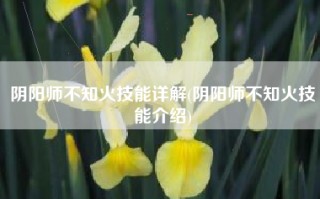 阴阳师不知火技能详解(阴阳师不知火技能介绍)