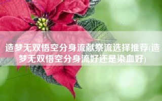 造梦无双悟空分身流献祭流选择推荐(造梦无双悟空分身流好还是染血好)
