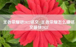 王者荣耀铠2022铭文_王者荣耀怎么赚铭文最快2022