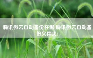 腾讯微云自动备份在哪(腾讯微云自动备份文件夹)