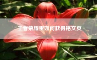 王者荣耀里如何获得铭文页