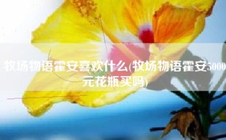 牧场物语霍安喜欢什么(牧场物语霍安5000元花瓶买吗)