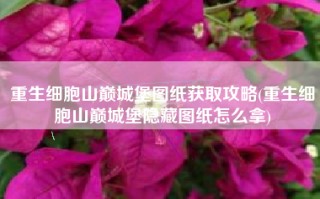 重生细胞山巅城堡图纸获取攻略(重生细胞山巅城堡隐藏图纸怎么拿)