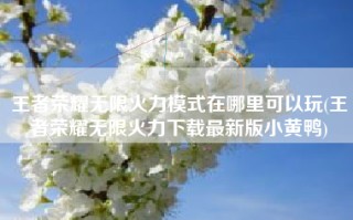 王者荣耀无限火力模式在哪里可以玩(王者荣耀无限火力下载最新版小黄鸭)