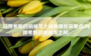 玛娜希斯回响破龙之祠有哪些采集点(玛娜希斯回响破龙之祠)