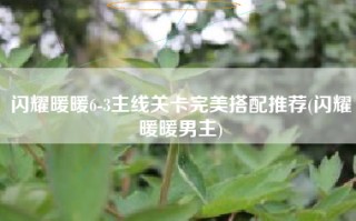 闪耀暖暖6-3主线关卡完美搭配推荐(闪耀暖暖男主)