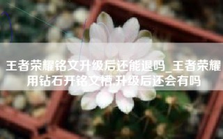 王者荣耀铭文升级后还能退吗_王者荣耀用钻石开铭文槽,升级后还会有吗