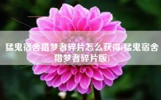 猛鬼宿舍猎梦者碎片怎么获得(猛鬼宿舍猎梦者碎片版)